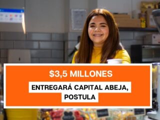 Capital Abeja entrega $3,5 millones: ¿Cuándo comienzan las postulaciones?