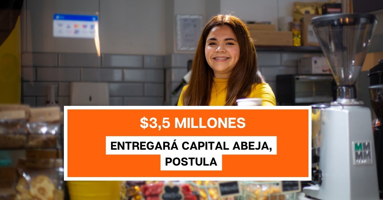 Capital Abeja entrega $3,5 millones: ¿Cuándo comienzan las postulaciones?