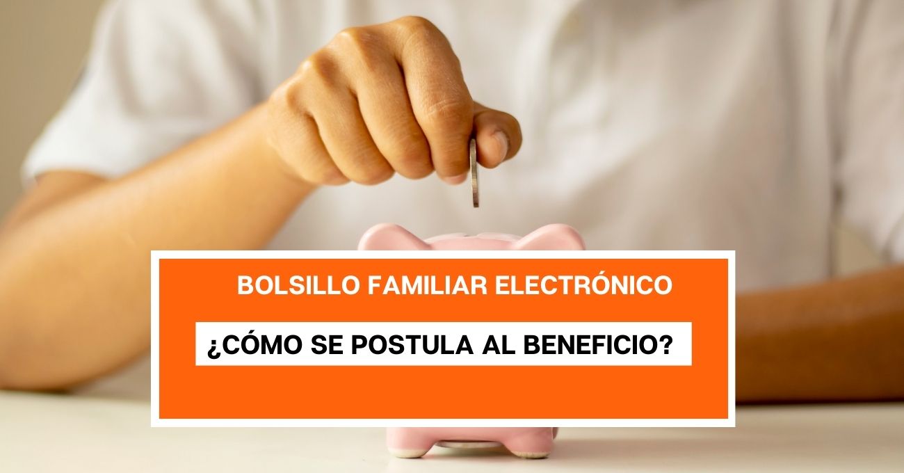 Bolsillo Familiar Electrónico: ¿Cómo consultar con el RUT si soy beneficiario?