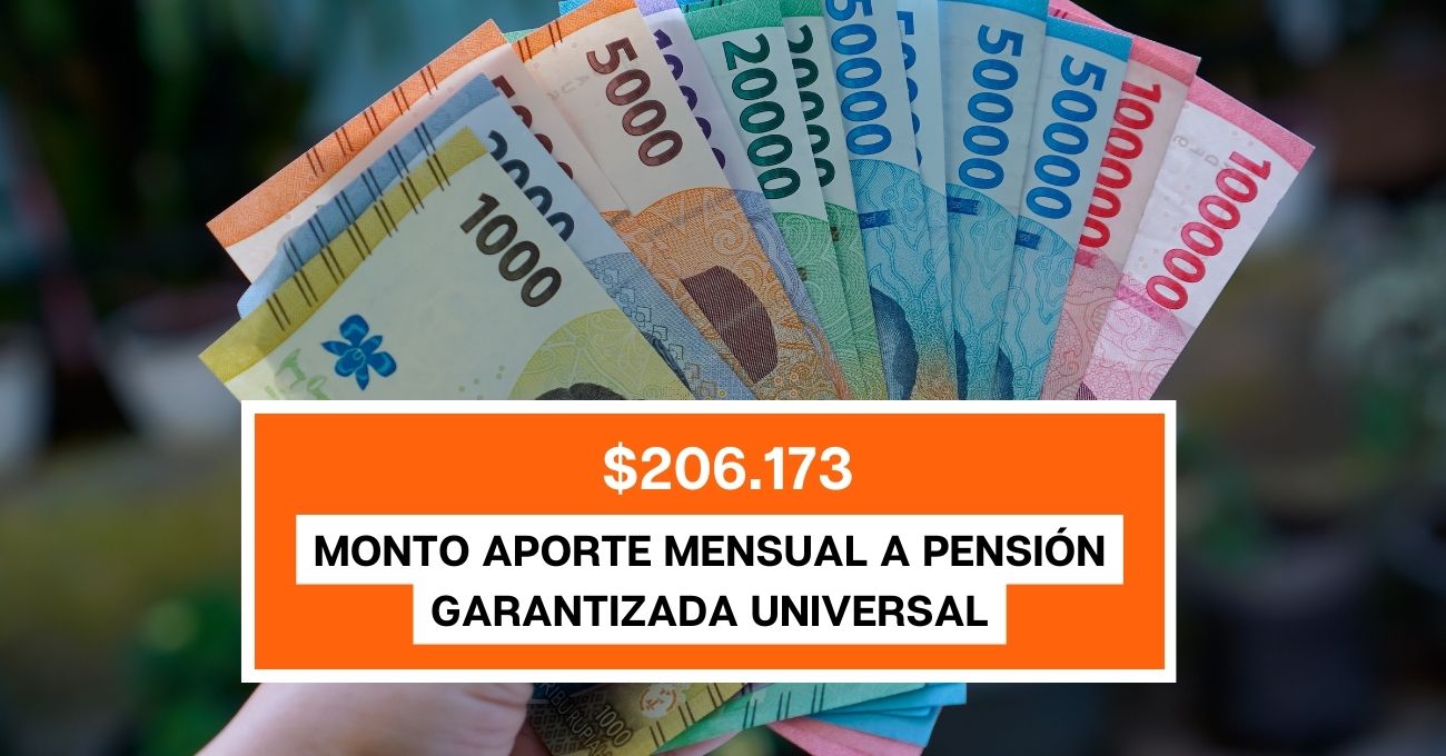 $206.173 monto aporte mensual a Pensión Garantizada Universal