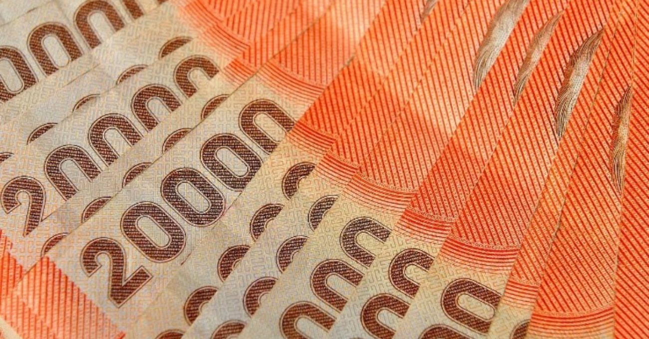 Bolsillo Familiar Electrónico: ¿Cómo revisar si me corresponde el beneficio?