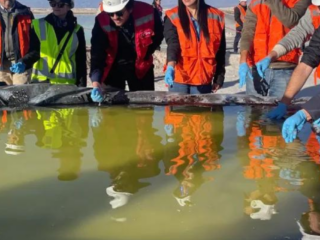 Misión Nacional de Sostenibilidad de la Cámara Chilena de la Construcción visita Calama