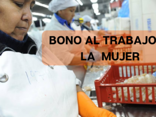 Bono al trabajo de la mujer, ¿Cúando y quiénes pueden cobrarlo?