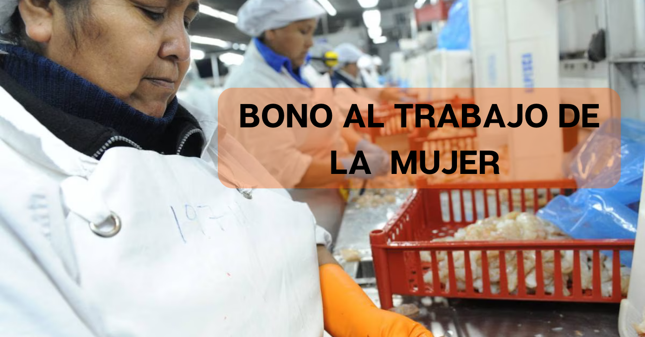 Bono al trabajo de la mujer, ¿Cúando y quiénes pueden cobrarlo?