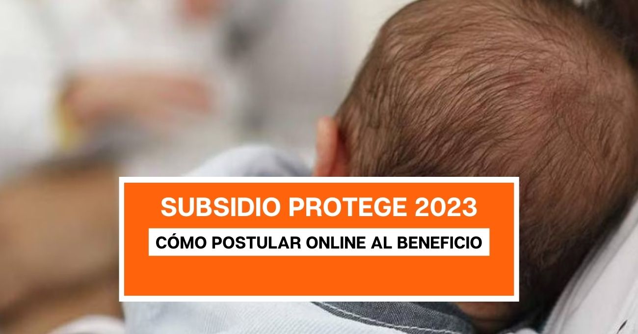 Nuevo proceso: cómo postular online al Subsidio Protege 2023