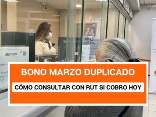 Aporte Familiar Permanente: Revisa con tu RUT si eres beneficiario