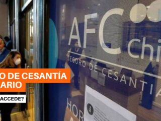 ¿Qué es el Fondo de Cesantía Solidario? y ¿Cómo se accede?