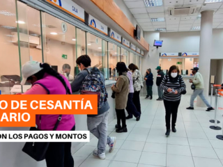 ¿Cuáles son los pagos y montos del Fondo de Cesantía Solidario?