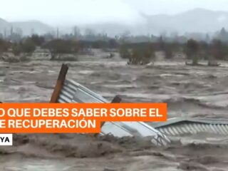Todo lo que necesitas saber sobre el Bono de Recuperación