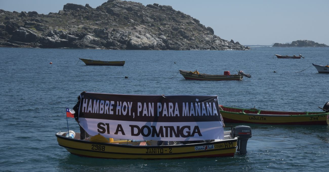 Pescadores de la zona sur de La Higuera acusan decisión política del Comité de Ministros y anuncian que acompañarán a Dominga en el Tribunal Ambiental