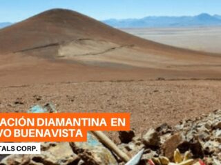 Pampa Metals informa resultados de ensayo de Buenavista Target Drilling, Chile