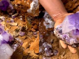 VIDEO: Increíble registro muestra hallazgo de cristales amatista por Mineros en África