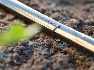 Oxigenación con Nanoburbujas: Una Solución Innovadora para la Escasez de Agua y la crisis hídrica