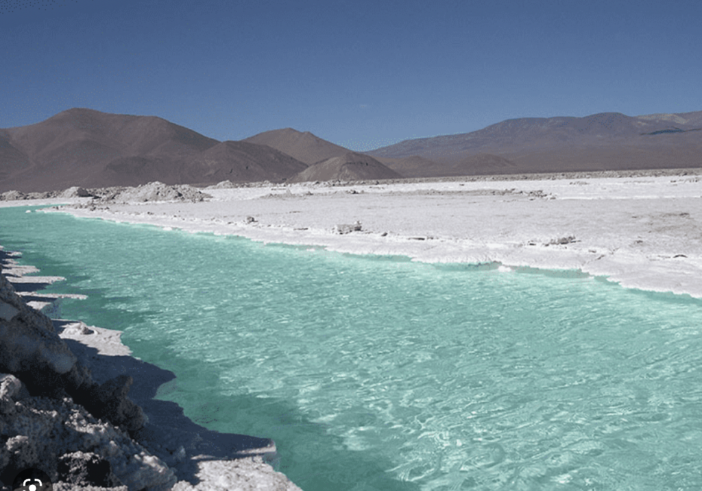 Codelco ya cuenta con lista corta para asociarse en salar de Maricunga