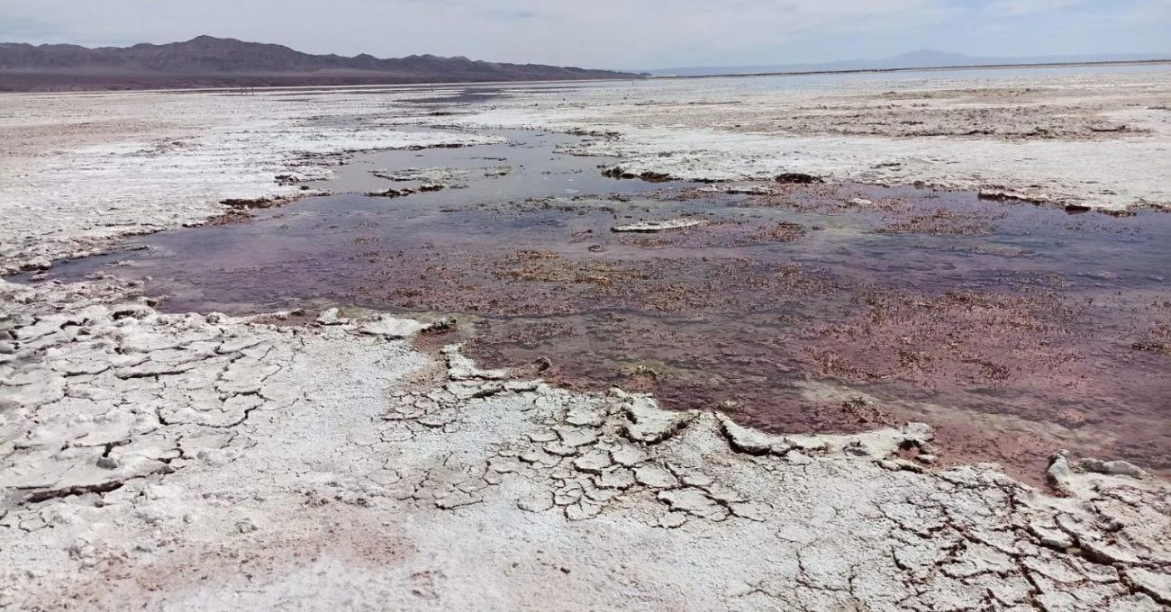 CDE presenta consistente prueba documental y testimonial sobre grave daño ambiental provocado por sociedades mineras a acuífero del Salar de Atacama