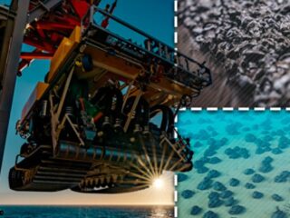 Qué son los nódulos polimetálicos, el profundo "tesoro" que busca ser explotado por la minería submarina