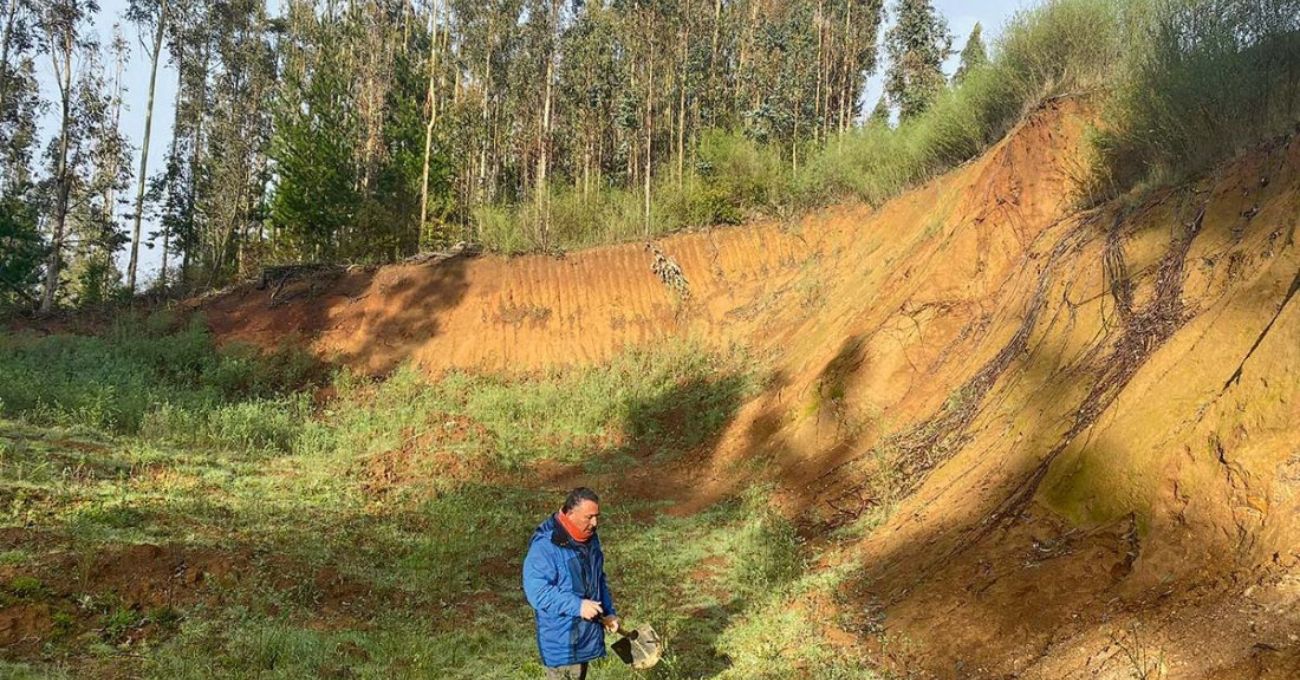 Dueña de proyecto de Tierras Raras en Penco pierde la mitad de su valor por traspié ambiental