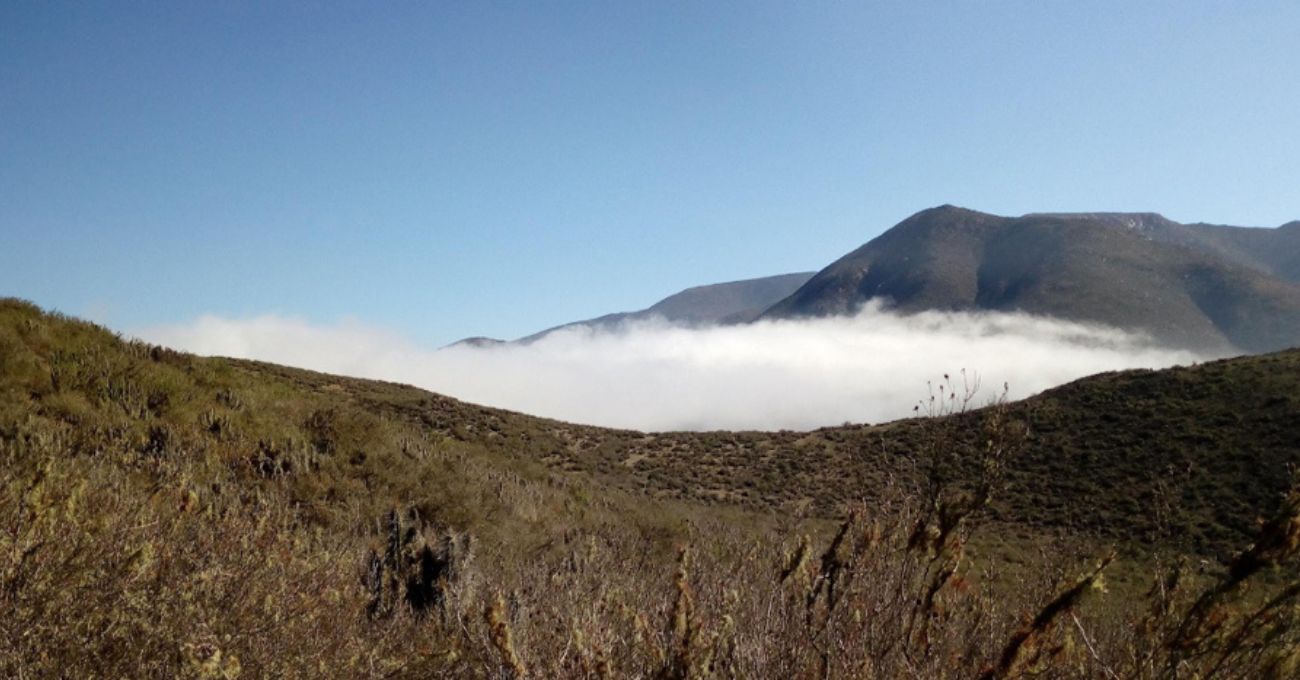 Tribeca Resources extiende la anomalía IP al norte del descubrimiento Gaby en el proyecto La Higuera IOCG