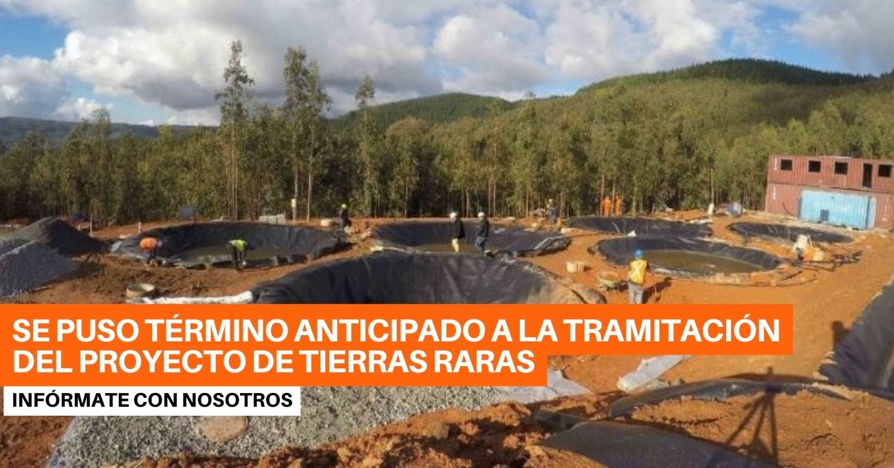 Tierras Raras en Penco: seis árboles que no vio la empresa frustran inversión de US$ 130 millones