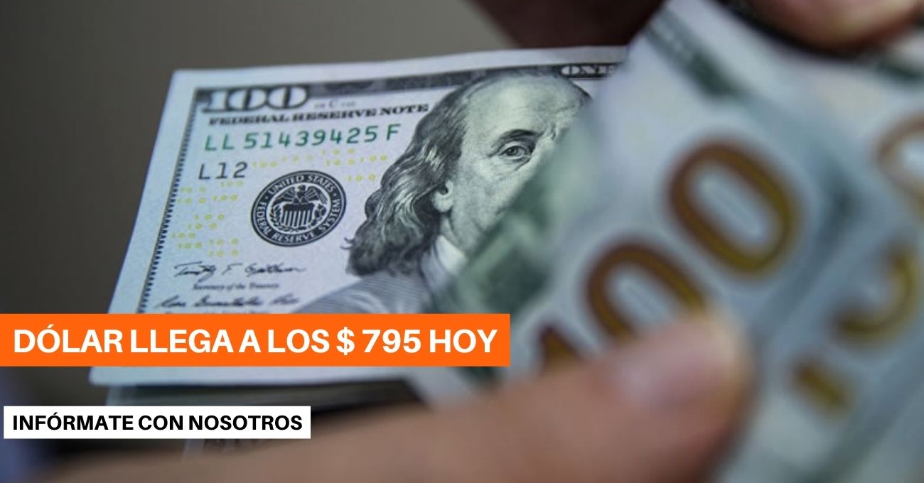 El Dólar Pierde Fuerza y llega a los $ 795: Previsiones y Repercusiones en la Economía Chilena