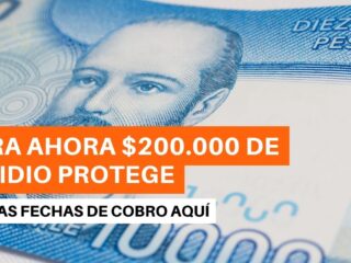 $200.000 de Subsidio Protege: ¿Cuántos pagos quedan del beneficio?