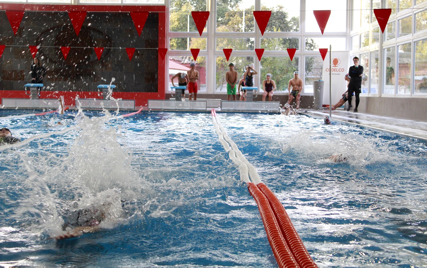 Piscina del estadio El Teniente será sede del clasificatorio regional de natación escolar