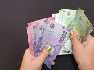 Bono Marzo duplicado: cómo consultar con RUT si cobro hoy, 8 de agosto, los $120 mil pesos del Aporte Familiar Permanente
