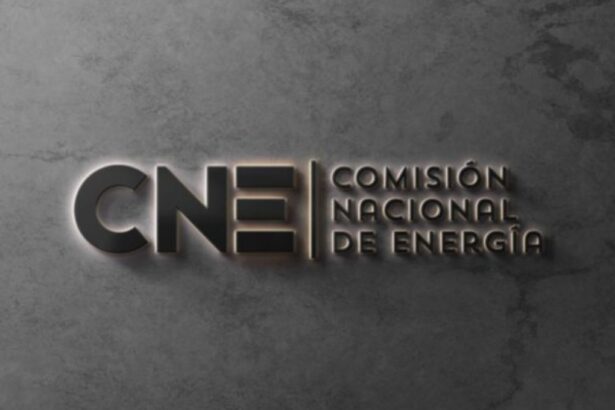 CNE emite nuevo Informe Técnico Preliminar de Fijación de Precios de Nudo Promedio