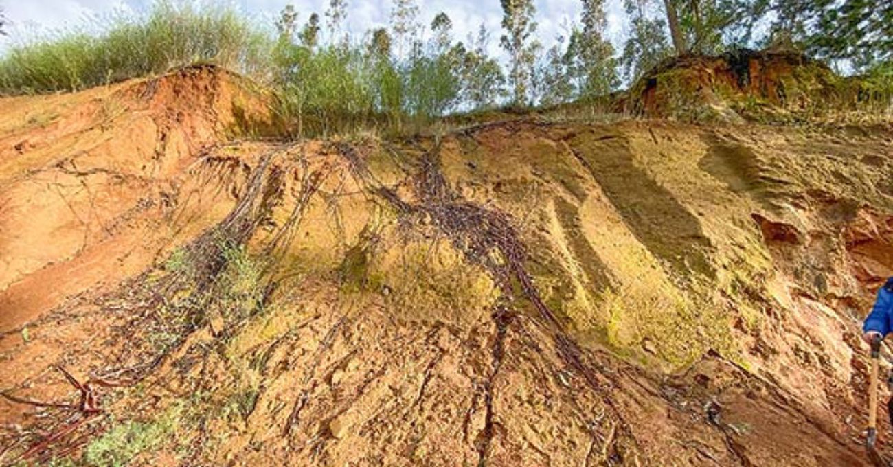 Valentina Durán pide renuncia a directora de SEA Biobío que decidió término anticipado a proyecto de tierras raras