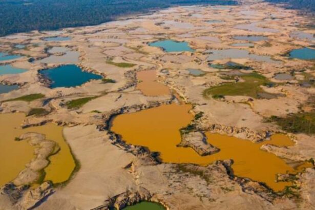 La Degradación de los Ríos Tropicales en el Siglo XXI Debido a la Minería