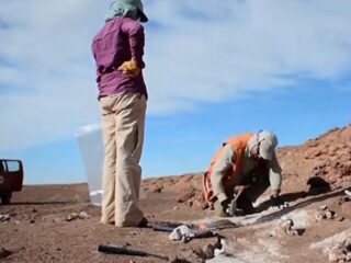 Goldstrike / Copper-X Mining anuncia pruebas metalúrgicas en el proyecto Jupiter Copper, Antofagasta, Chile