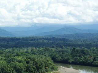 Ecuador da un Giro: Prefiere Proteger la Amazonia Sobre la Explotación Petrolera y Minera