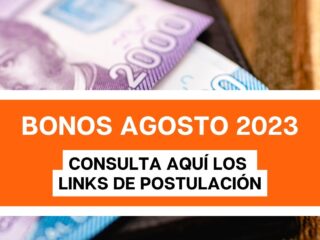 Revisa con tu RUT Bonos disponibles en Agosto 2023, te entregamos el enlace de postulación