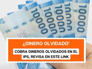 IPS y Dinero Olvidado: ¿Tienes Beneficios Pendientes del Estado?