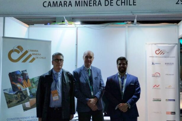 En el marco de Fexmin2023: La Cámara Minera de Chile solicita incentivos para la exploración minera
