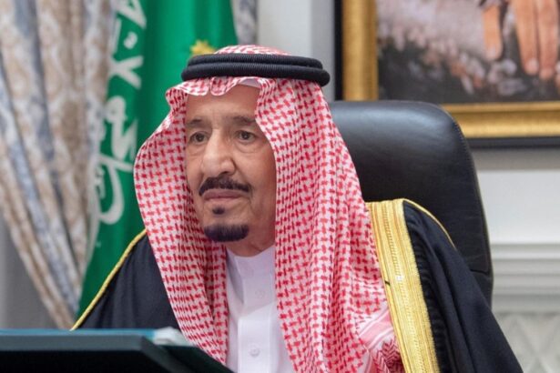 Arabia Saudita apunta a inversiones clave en Chile: desde litio hasta infraestructura