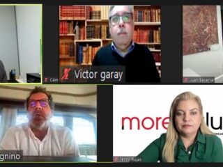 En webinar de la Cámara Minera de Chile:Se proyecta un mercado de litio con estrechez de producción