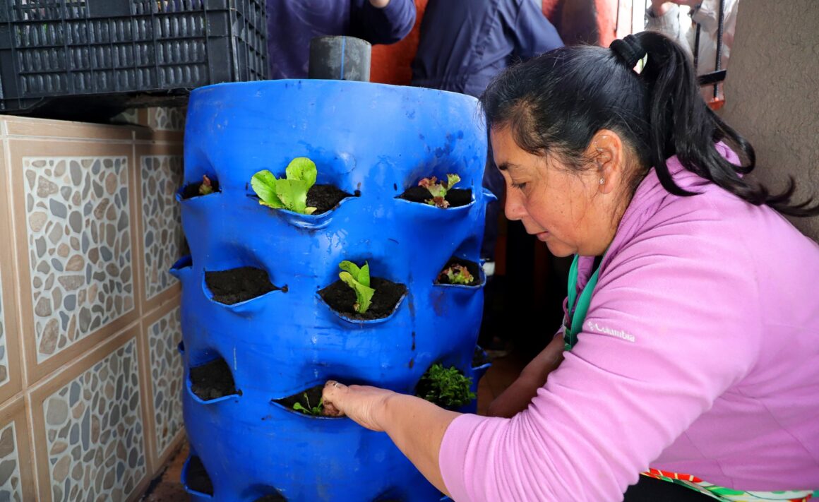 El Teniente apoya instalación de huertos verticales en Población Dintrans