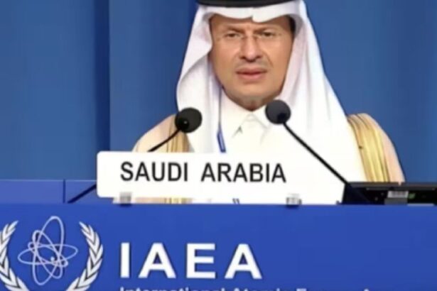 Arabia Saudí anuncia un paso crucial en sus planes para desarrollar la energía nuclear