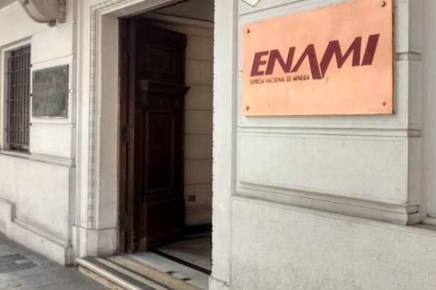 Enami reporta pérdidas por US$ 108 millones al cierre del primer semestre