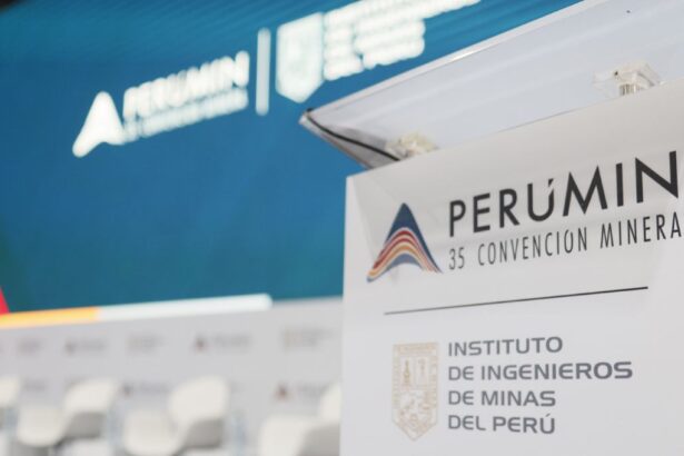 Grupo de personas con discapacidad participarán gratuitamente en PERUMIN 36