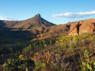 Un Antiguo Volcán en EE.UU. Podría Albergar el Mayor Recurso de Litio del Mundo