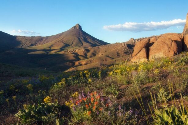 Un Antiguo Volcán en EE.UU. Podría Albergar el Mayor Recurso de Litio del Mundo