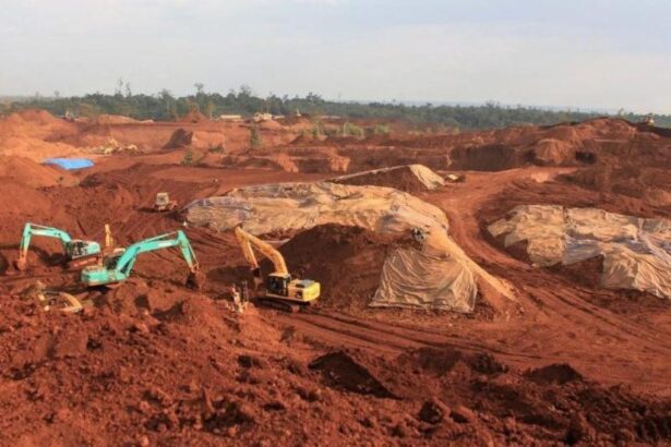 Misteriosas Decisiones: El Futuro de la Minería en Indonesia"
