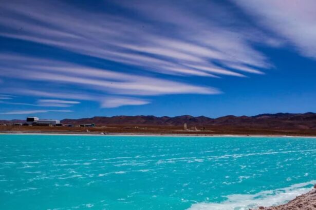 Litio argentino: paso a paso cómo llega el mineral de la tierra a las baterías