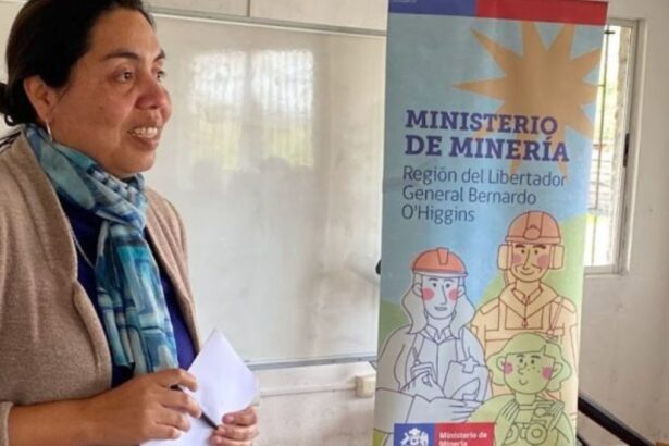 Más de cien millones de pesos recibe la pequeña minería metálica a través de Fondos PAMMA Productivo