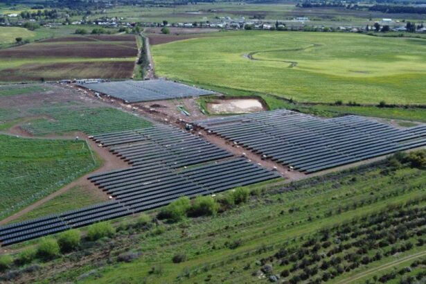 Tramitaciones y permisos triplican el tiempo de construcción de un parque solar