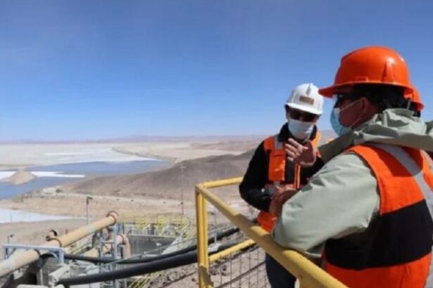 Codelco adjudica la novena etapa de ampliación del depósito de relaves Talabre de Chuquicamata