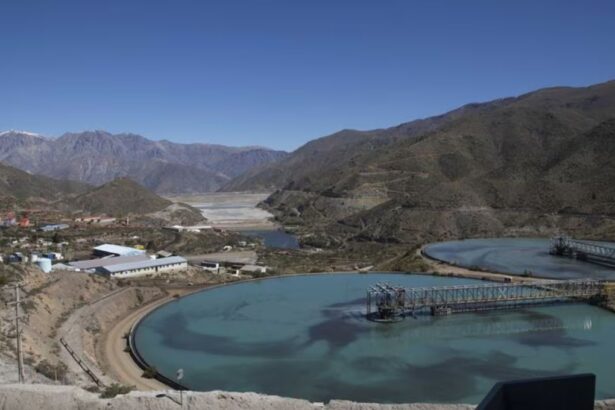 Tribunal Ambiental rechazó demanda por daño ambiental en contra de minera Los Pelambres