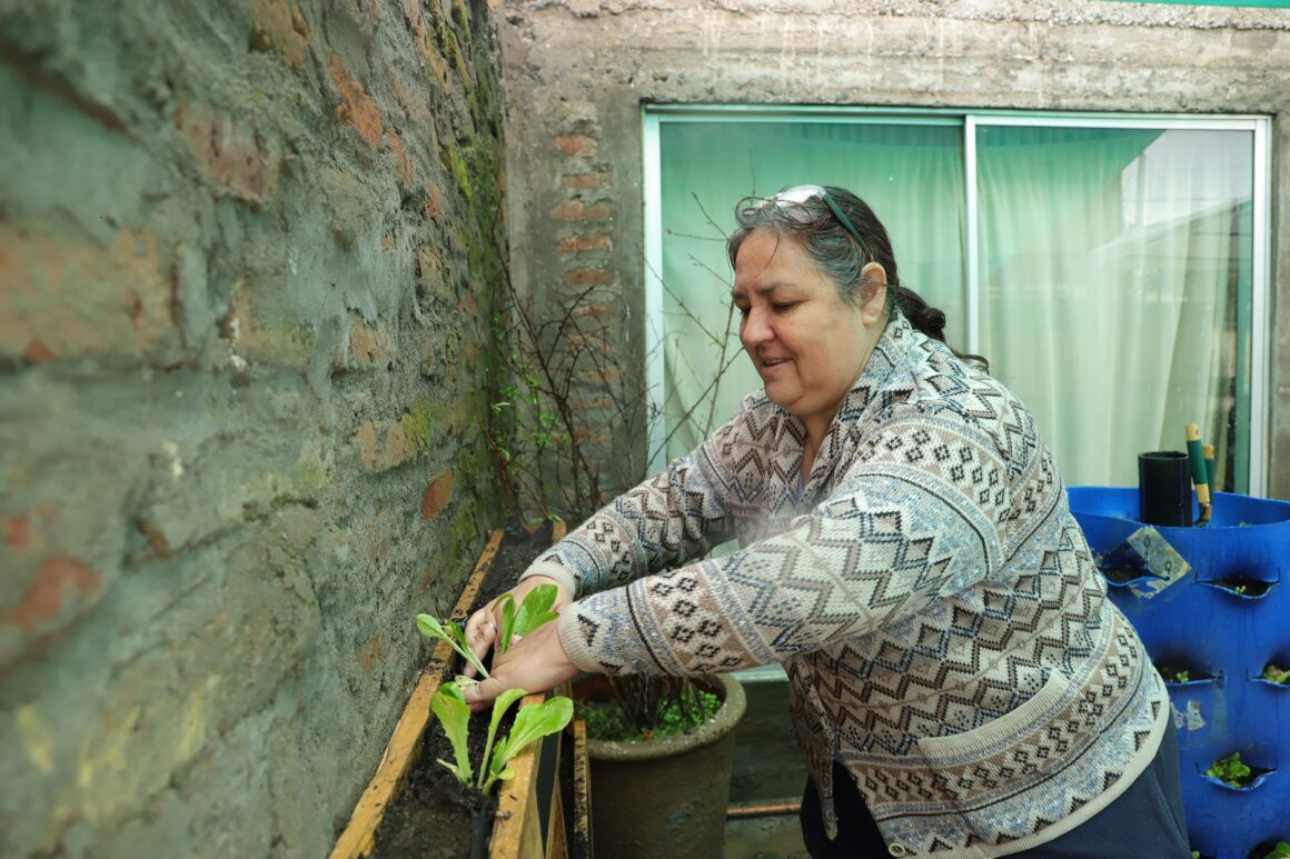 El Teniente apoya instalación de huertos verticales en Población Dintrans